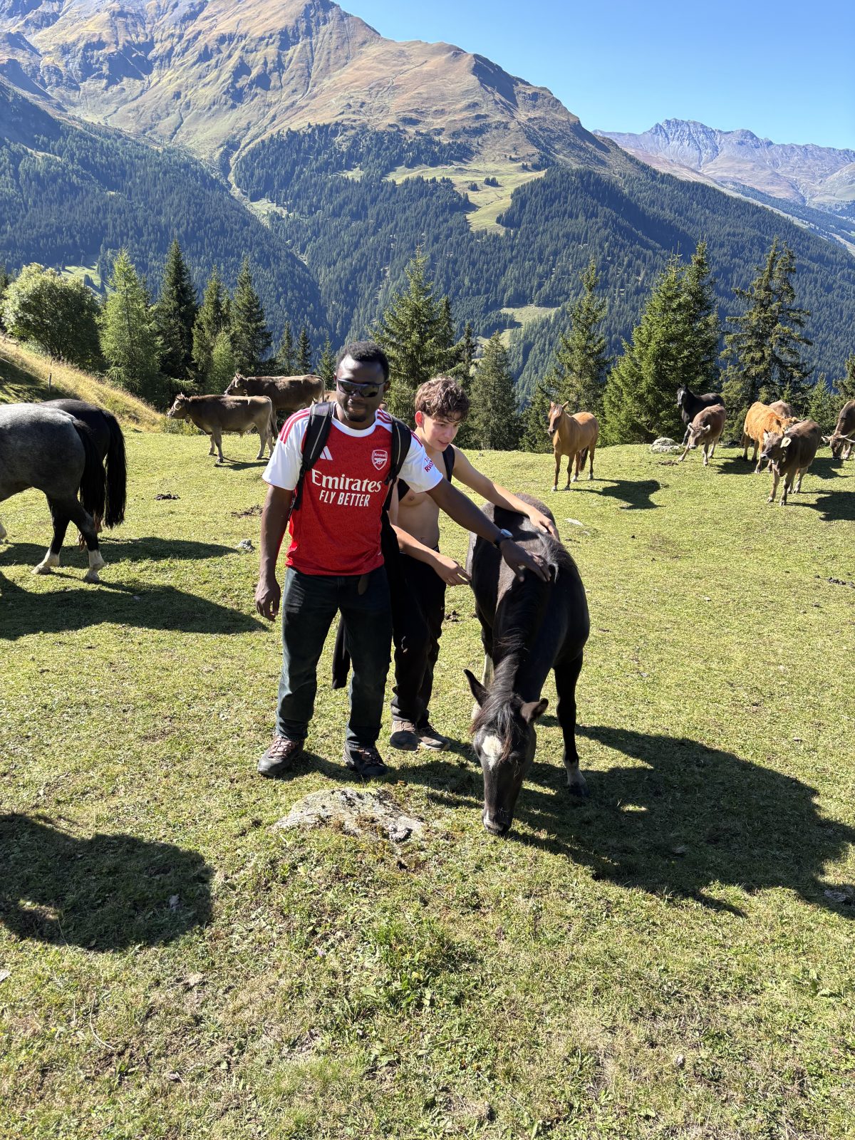 AGS Basel Publikationen, AGS-INFO 47, Dezember 2025