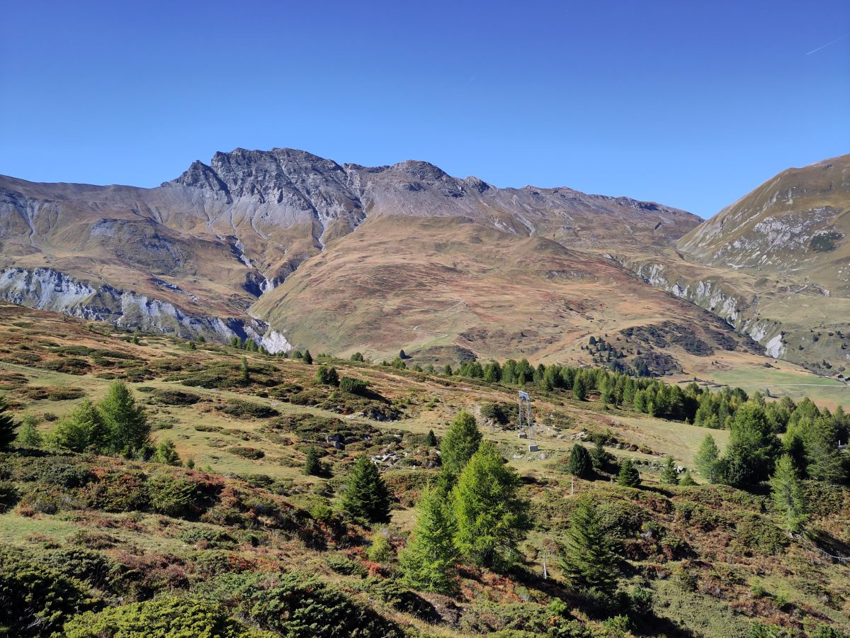 AGS Basel Publikationen, AGS-INFO 47, Dezember 2025